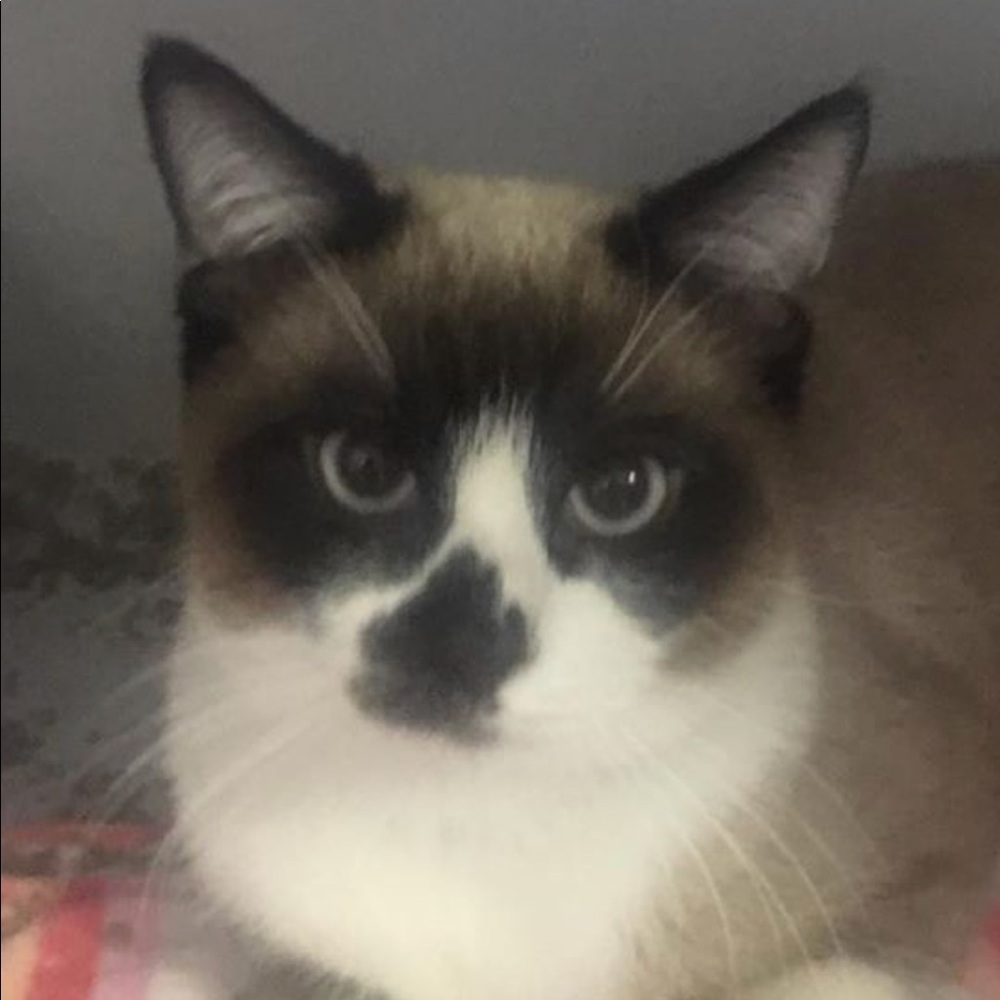 Meet your Posher, Alexandria